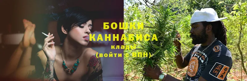 наркотики  Жирновск  Конопля Ganja 